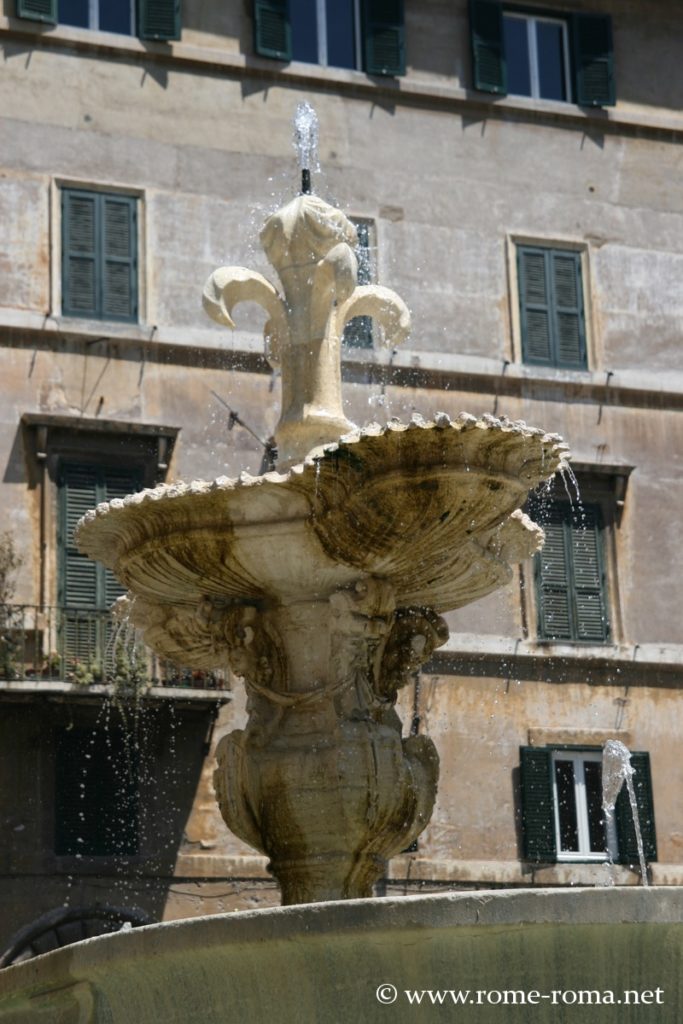 fontana-piazza-farnese-roma_9660