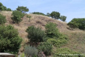 mont-testaccio-rome_0700