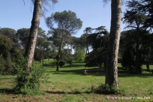 photo du parc de la Villa Ada à Rome