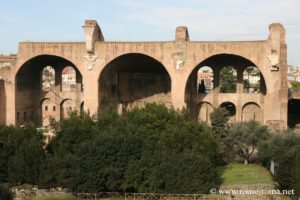 basilica-costantino-massenzio_0078